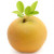 Nashi Pear