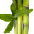 BAMBOO LEAF