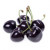 Black Cherry