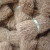 HAITIAN VETIVER 