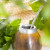 Mate Tea