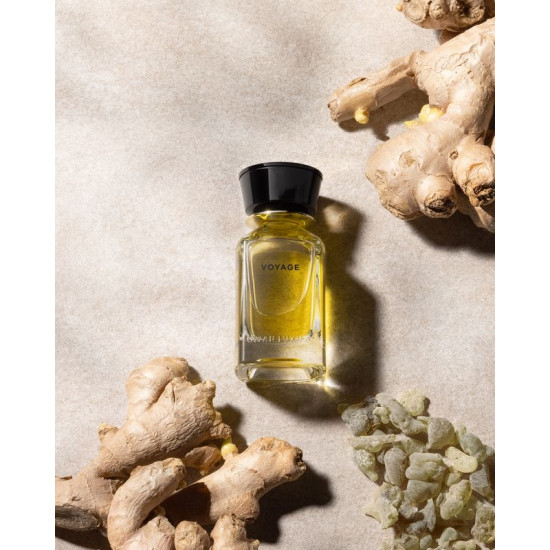 VOYAGE 100ML